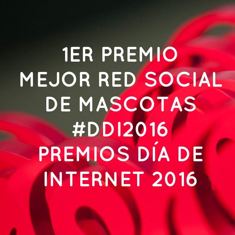 Ganadora Premios Día de Internet 2016