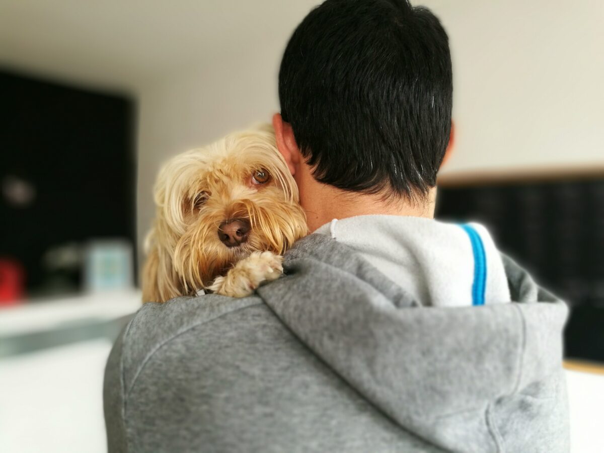 El poder del abrazo de un