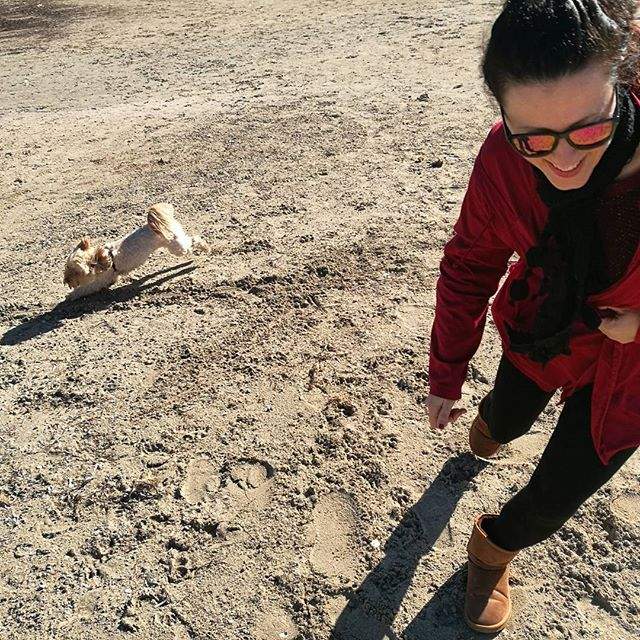 perro, un miembro más de la familia