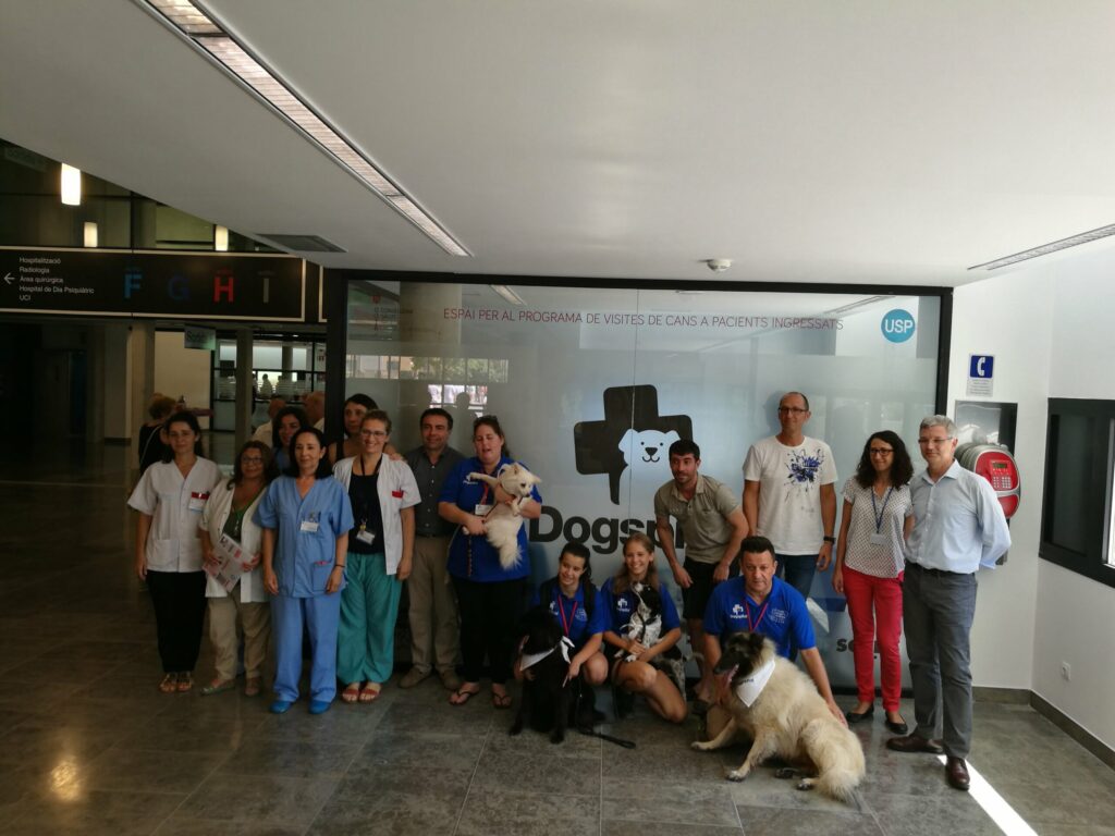 hospital can misses perros