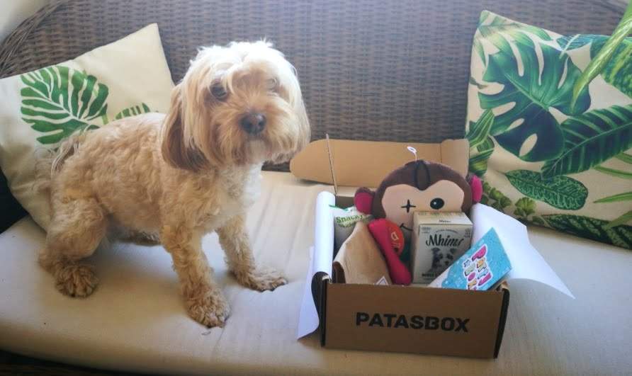 Patasbox