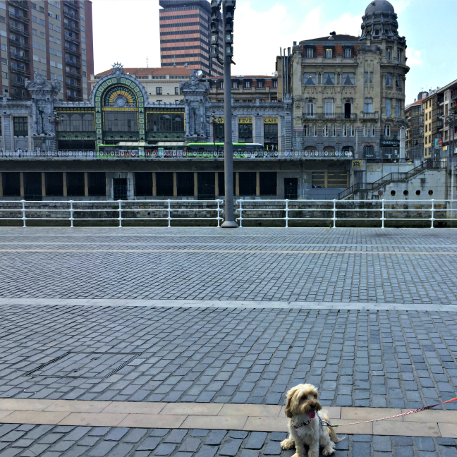 viajar con perro a Bilbao
