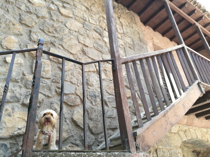 con perro: Teruel y - El Blog de Uma
