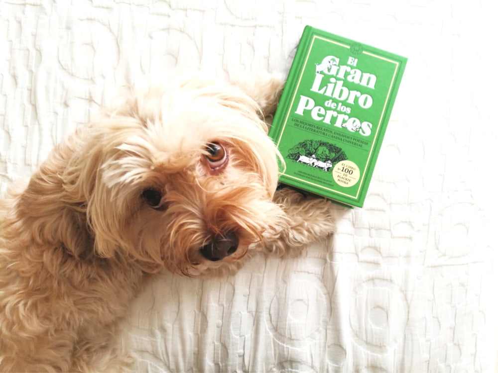 el gran libro de los perros
