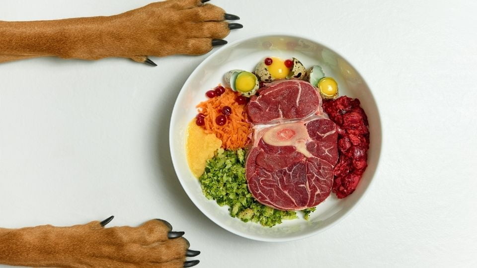 Dieta BARF pentru pisici. Ar trebui pisicile sa manance carne cruda? | kunsteconomie.nl