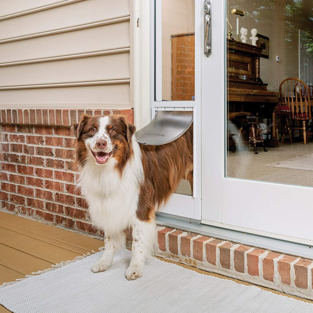 puertas para perros