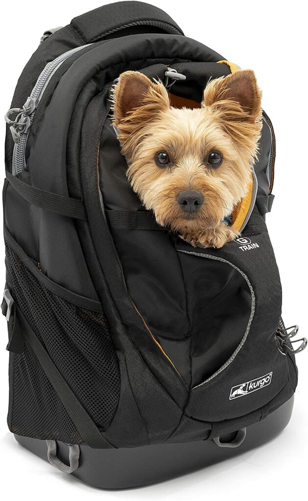mochilas para perros
