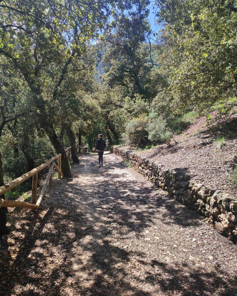 ruta del menejador con perro