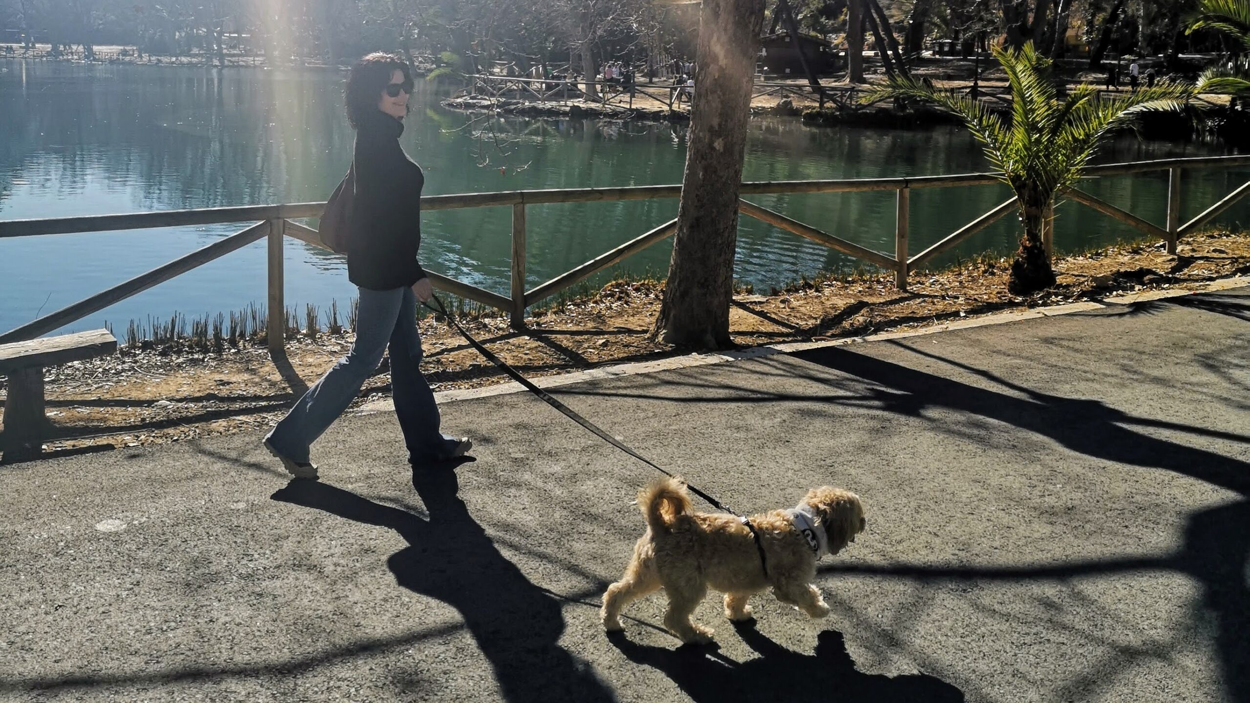 cicatriz Estallar escaldadura Cuál es el mejor horario para pasear un perro - El Blog de Uma