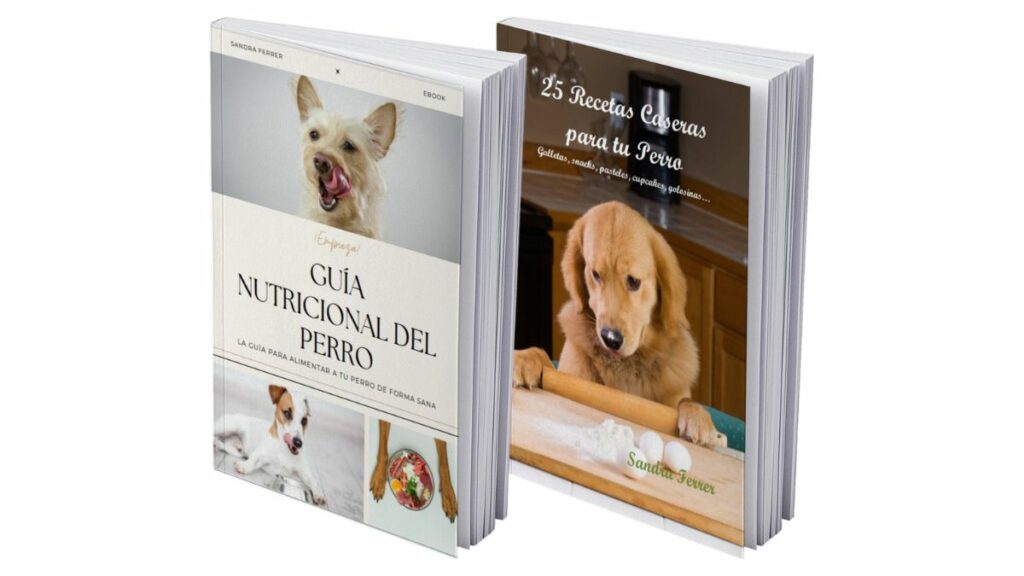 guía de nutrición canina
