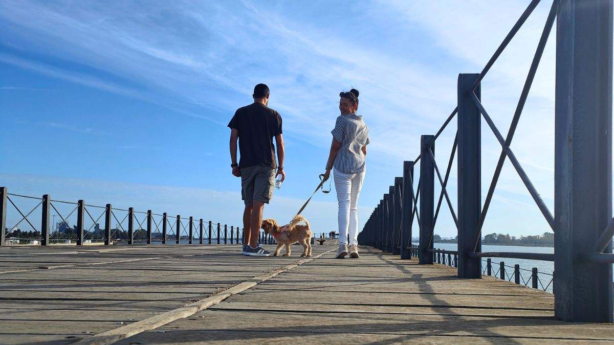 viajar con perro por España