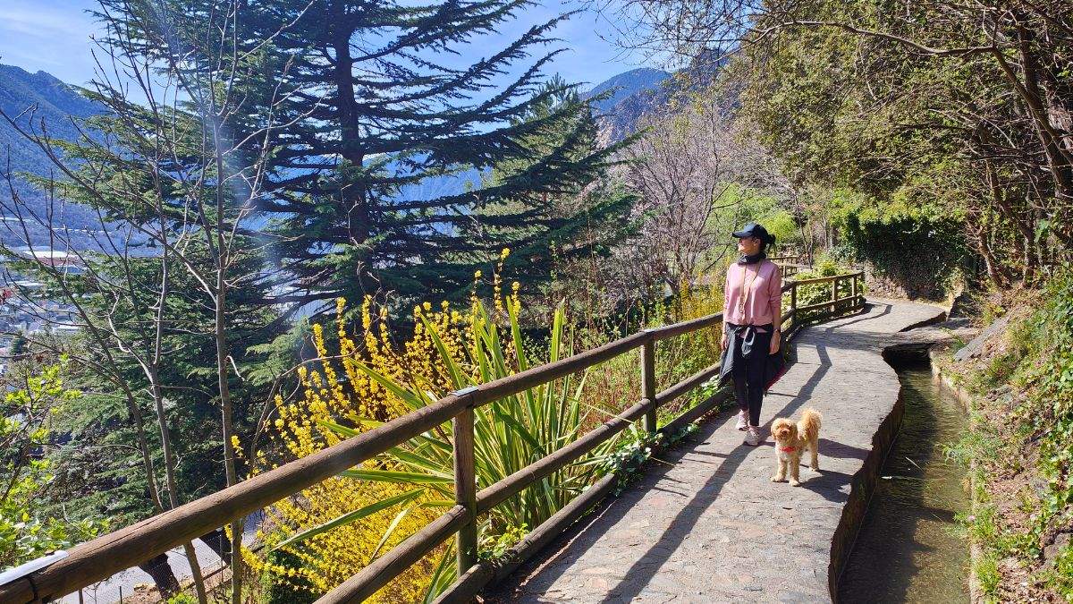 viajar con perro por Europa