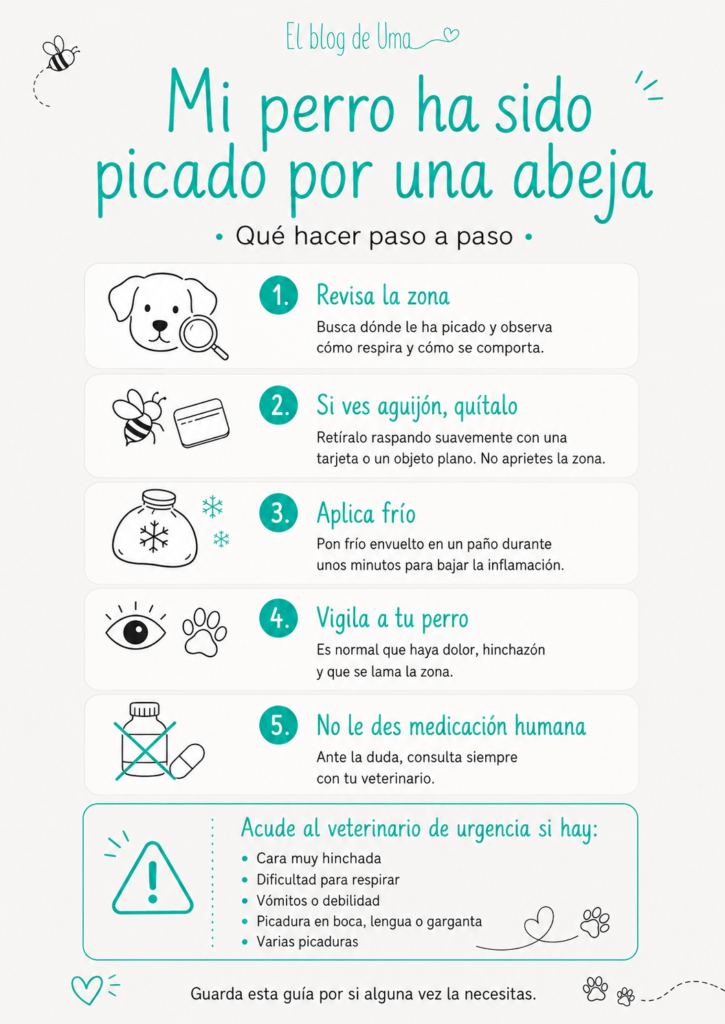 mi perro ha sido picado por una abeja