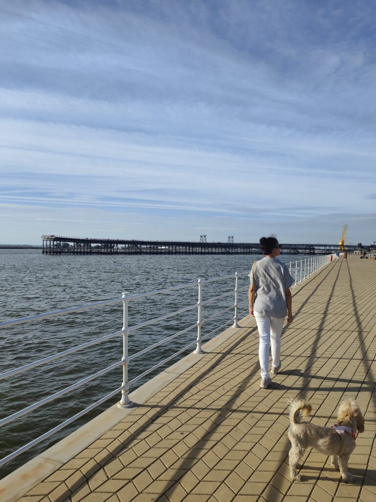 viajar con perro a Huelva