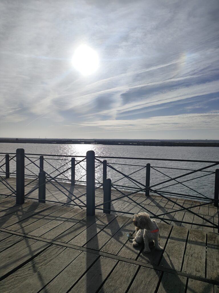 viajar a Huelva con perro