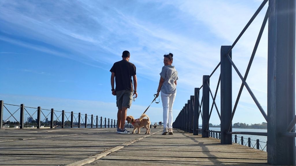 viajar a Huelva con perro